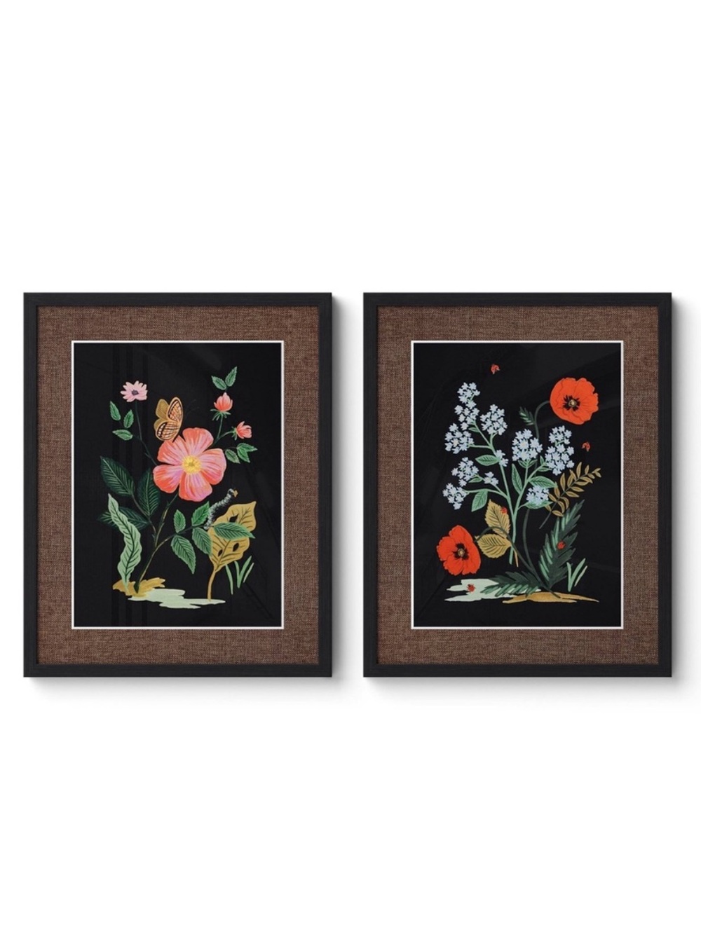 Rifle Paper Co. 16"x20" Botanical Poster Framed Wall Art Print Set
